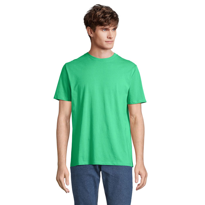 s03981-eo