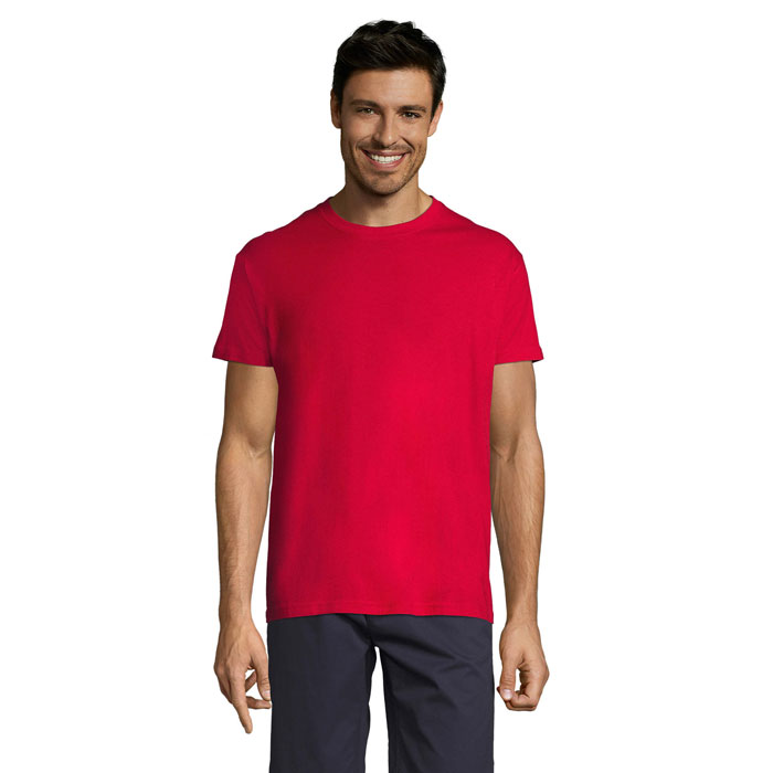 s11380-rd