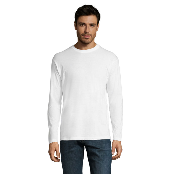 s11420-wh