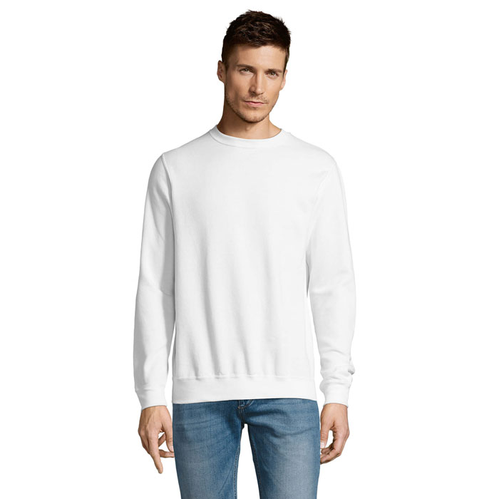 s13250-wh