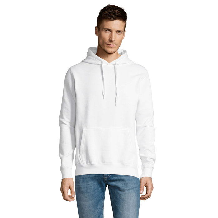 s13251-wh