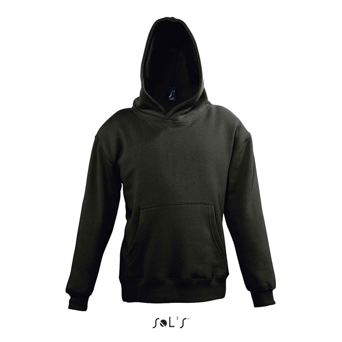 s13255-bk
