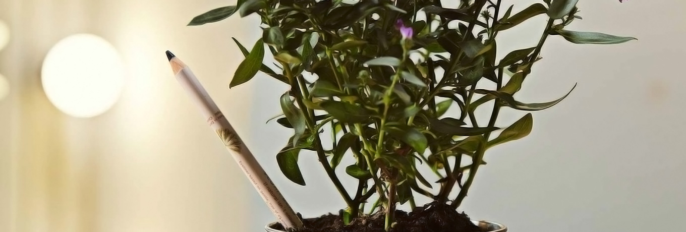 Sprout